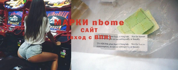 хмурый Белокуриха