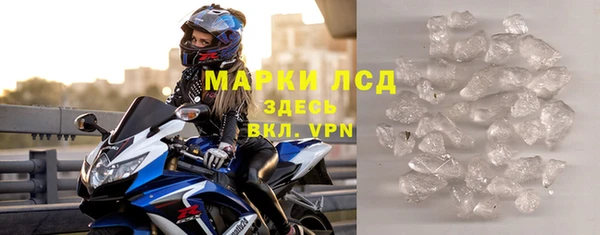 хмурый Белокуриха