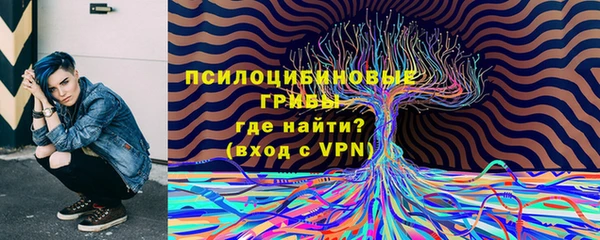 хмурый Белокуриха
