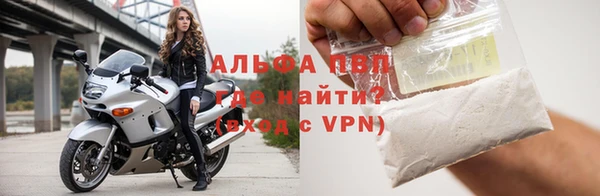хмурый Белокуриха