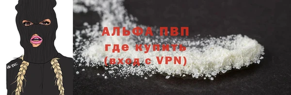 хмурый Белокуриха