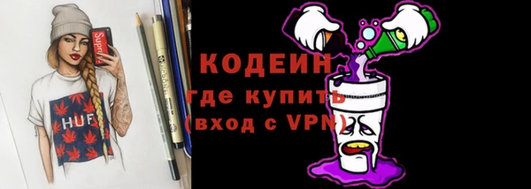 хмурый Белокуриха