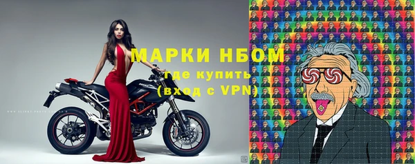 хмурый Белокуриха