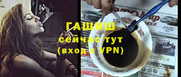 хмурый Белокуриха