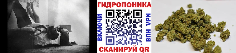 кракен рабочий сайт  Городовиковск  Конопля SATIVA & INDICA 